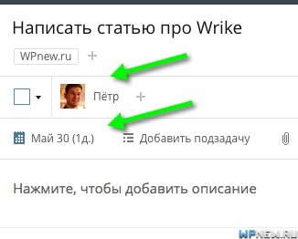 Параметры задачи в сервисе "Райк"
