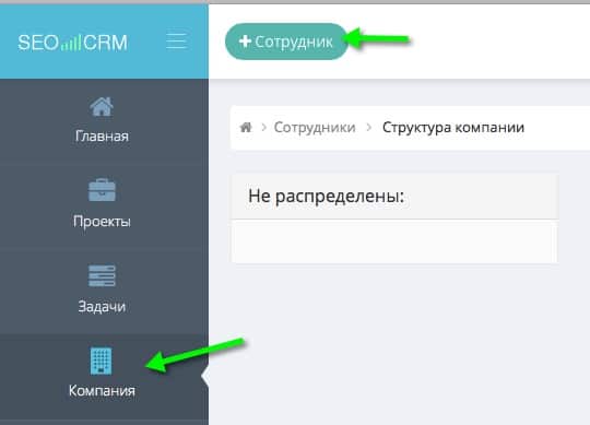 Сотрудники компании в SEO CRM